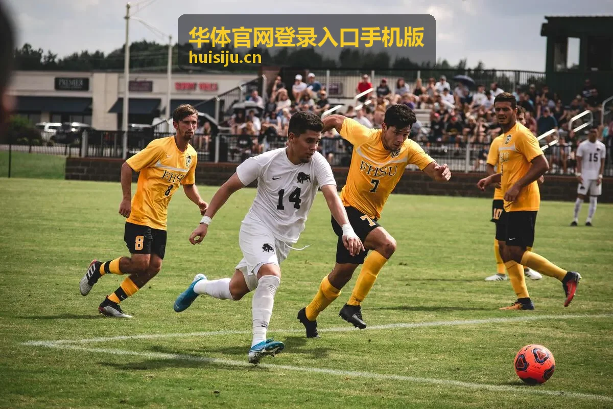 华体官网登录入口手机版乒乓球精选内容画面